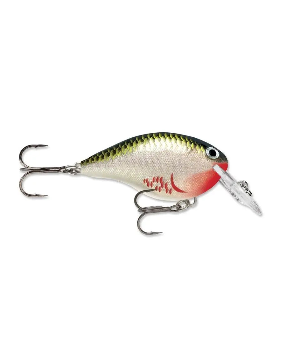 Rapala DIVES-TO DT06 BOS