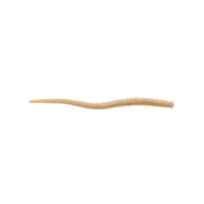 Shad Berkley G2sqif4-Nat 4isome Futomi-Jarime