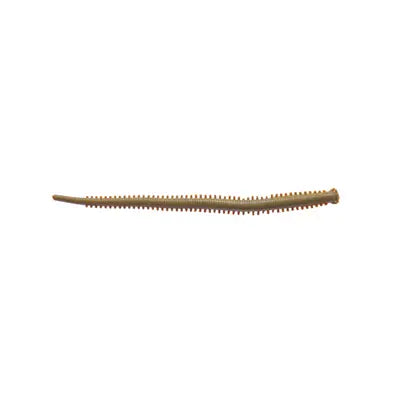 Shad Berkley G2sqif4-Mor 4isome Futomi-Gokai