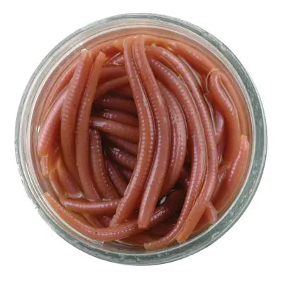 Shad Berkley Gajaw-Nat Gulp Alive Angle Worm Natrl 79
