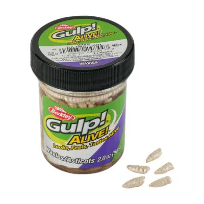 Shad Berkley Gajwx-Wh Glpalivwaxies Mld 12mm White 45