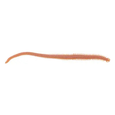 Shad Berkley Gashpne6-Nat Ga Hlfp Nereis 6 Natural