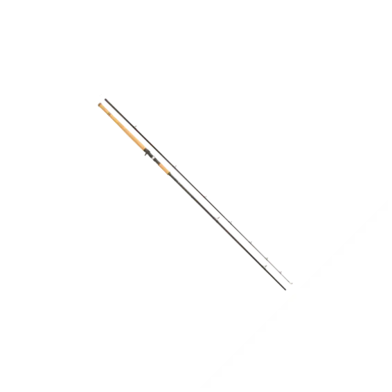 Lanseta Casting Abu Garcia Rod Salmon Seeker Casting 12ft 50-150g