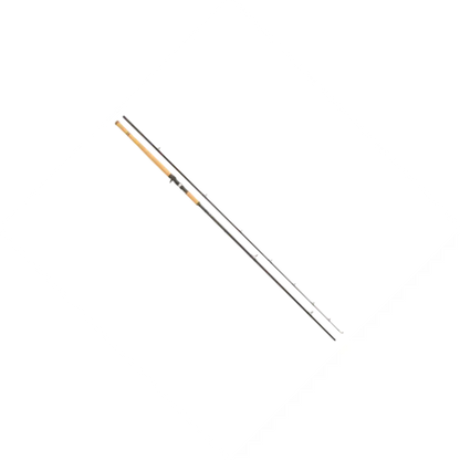Lanseta Casting Abu Garcia Rod Salmon Seeker Casting 12ft 50-150g