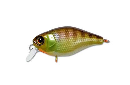 Jackall Chubby 38f Mr 3,8cm/4,2g Noike Gill