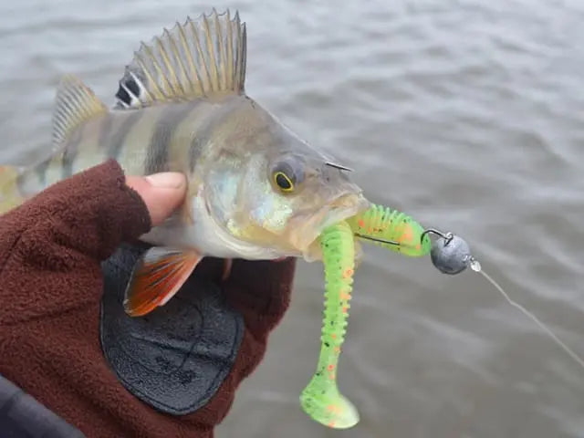 Keitech Swing Impact Slim Bubblegum Shiner EA#08 11.4cm