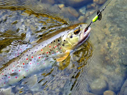 Lingurita rotativa Smith AR-S Spinner Trout 4.5g 05 AR-S Spinner Trout 4.5g 05