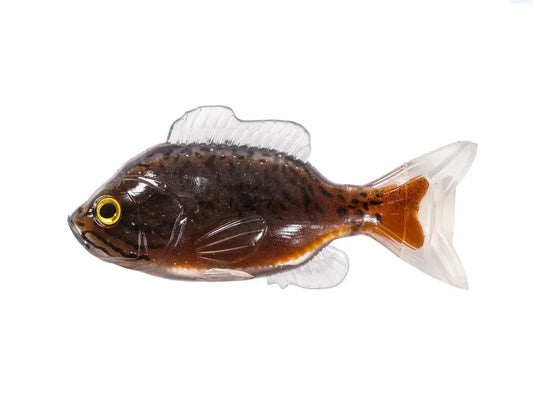 Live Target Naluca Sunfish Unrigged 11cm Black/Brown 2buc/Pl