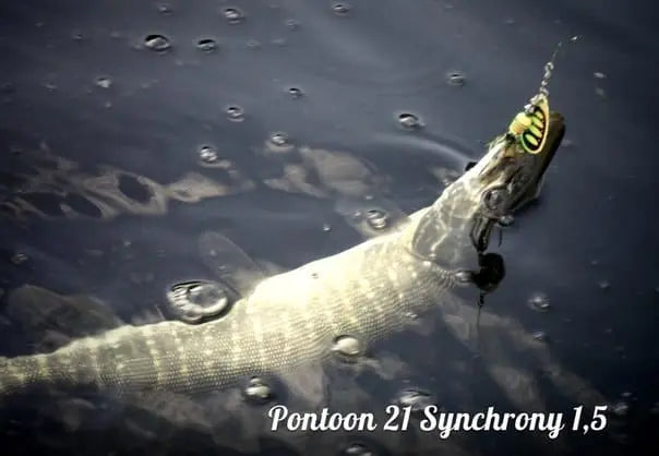 Pontoon21 Synchrony 1 3.5g C01-002 Pontoon21 Synchrony 1 3.5g C01-002