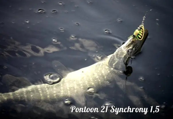 Pontoon21 Synchrony 1 3.5g C03-004 Pontoon21 Synchrony 1 3.5g C03-004