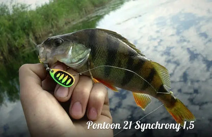 Pontoon21 Synchrony 1 3.5g C04-002 Pontoon21 Synchrony 1 3.5g C04-002