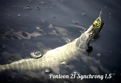 Pontoon21 Synchrony 1 3.5g C04-002 Pontoon21 Synchrony 1 3.5g C04-002