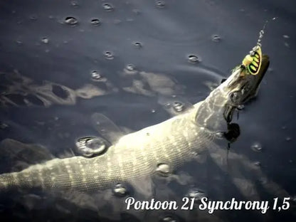 Pontoon21 Synchrony 5 22.3g T01-071 Synchrony 5 22.3g T01-071