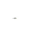 Rapala COUNTDOWN ELITE 55 GDRSML