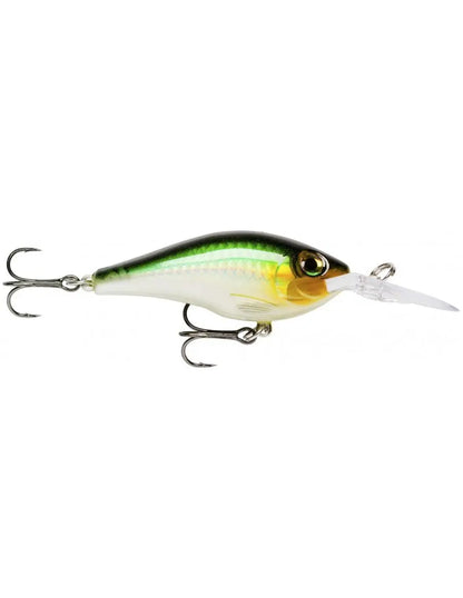 Rapala MAX RAP FAT SHAD MXRFS05 FG