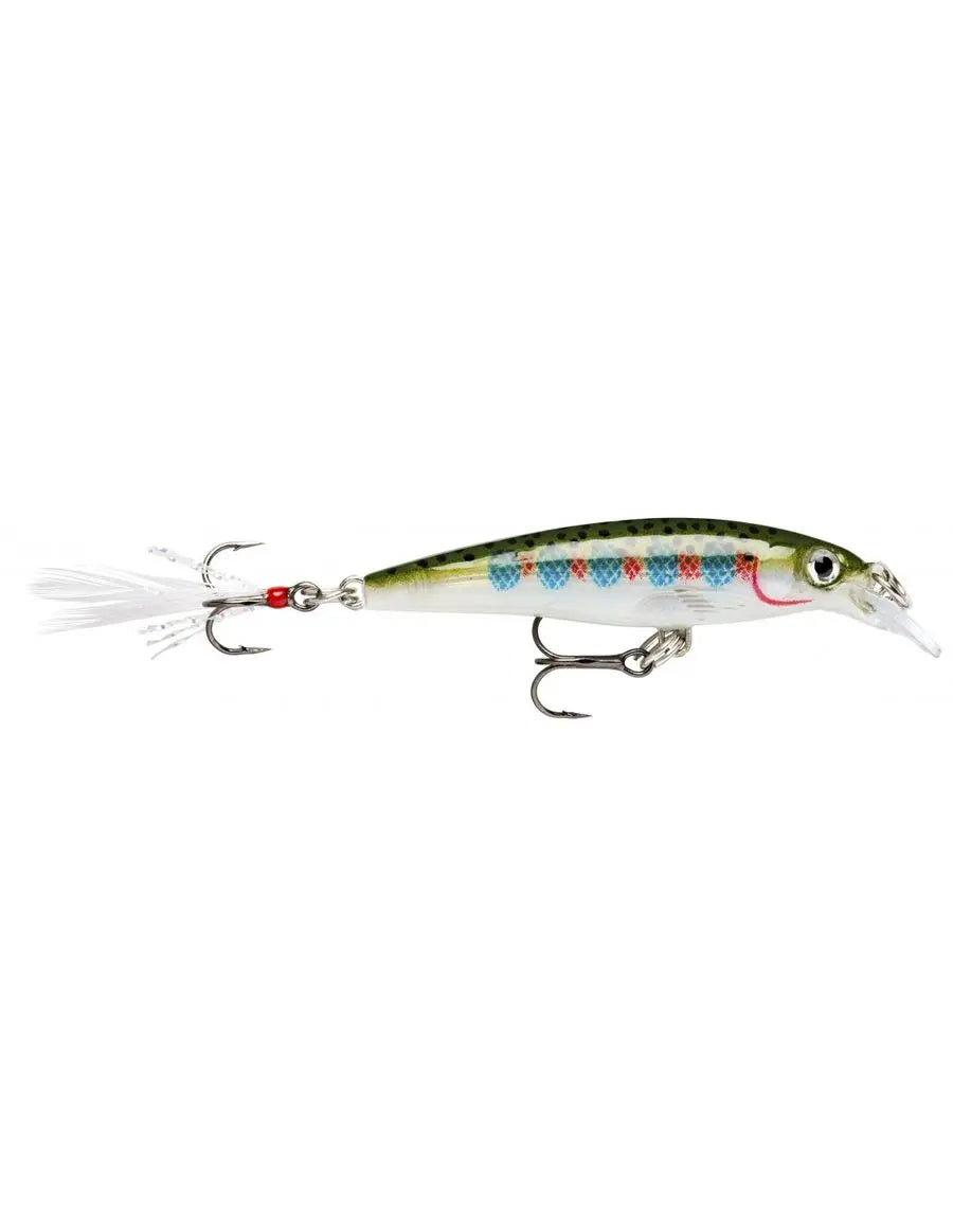 Rapala X-RAP