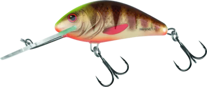 Salmo Hornet Floating 6cm Spotted Brown Perch 22g.