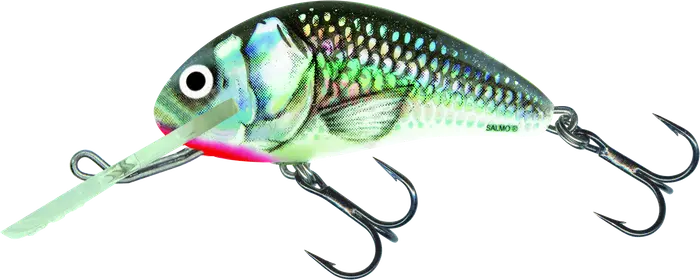 Salmo Hornet Sinking 2.5cm Holographic Grey Shiner 8g.