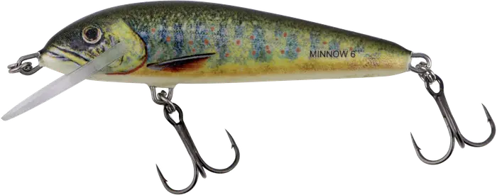 Salmo Minnow Floating 7cm Lake Charr 17g.