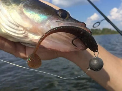 Shad Pontoon21 Ratta 423 Ratta 423 2.75 inci (7cm)