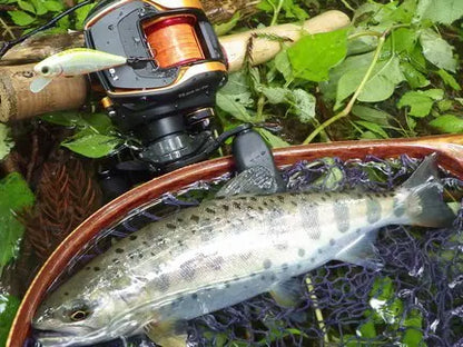 Smith AR-FS Minnow 45mm 3.7g 02 S AR-FS Minnow 45mm 3.7g 02 S