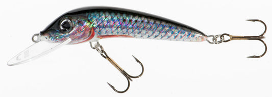 Vobler Jaxon Hs Ferox F P 6cm 5gr