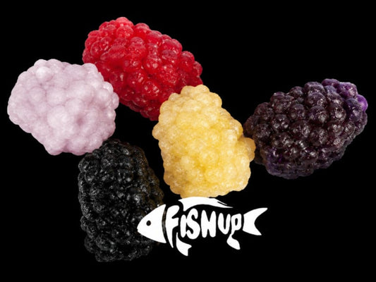 Fishup Berry 1.5cm #506 Blackberry 1.5cm Blackberry