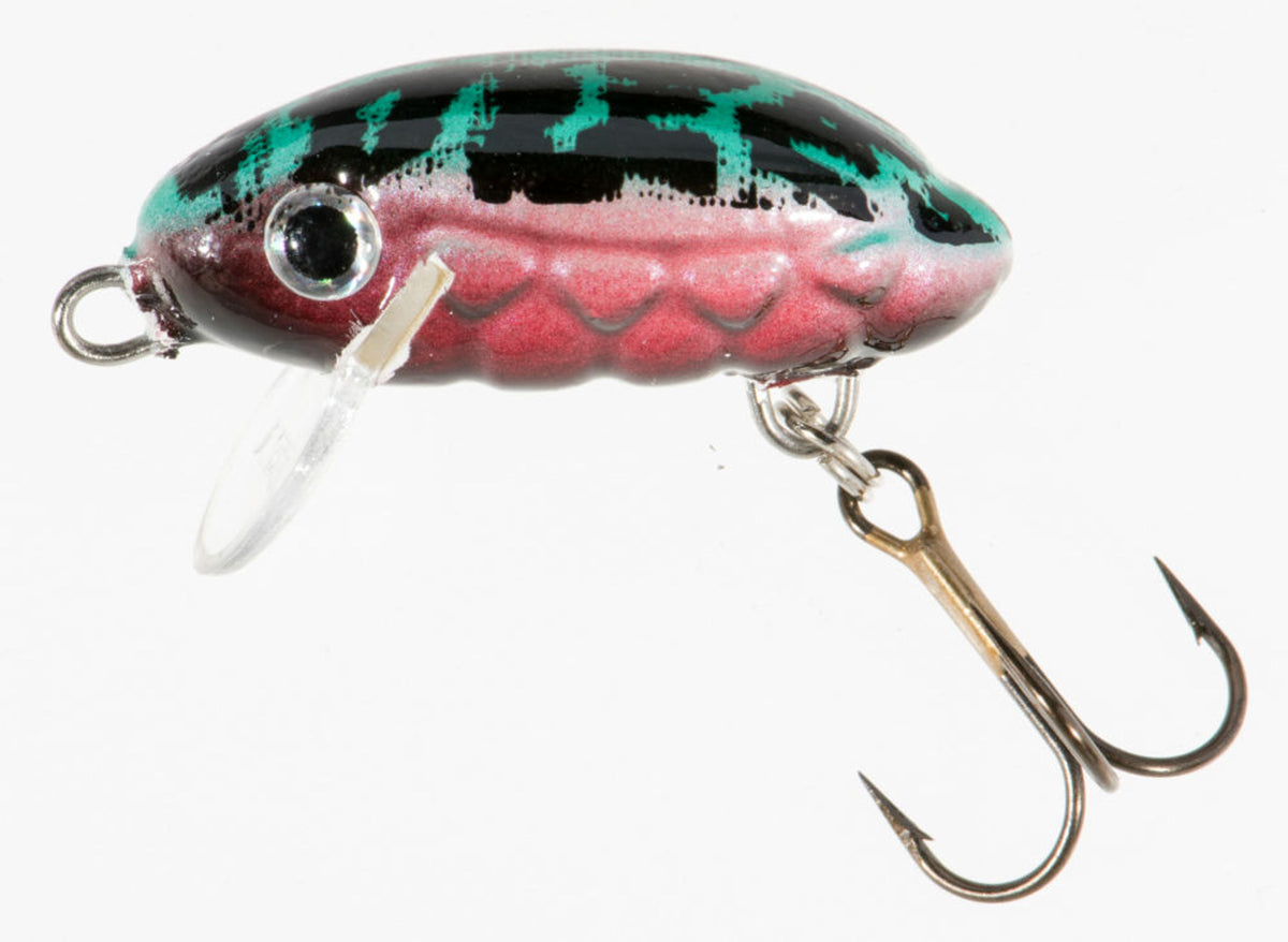 Vobler Jaxon Hs Carabus F Ct 3cm 1.5gr
