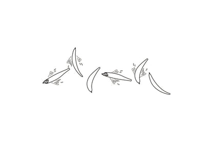 Vobler O.S.P Osp Bent Minnow 76f 76mm 4.3gr P83 Ghost Pearl