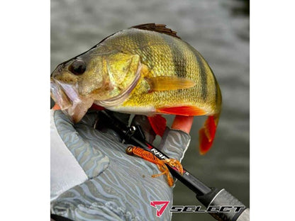Select Kraken 7.6cm #314 Kraken 7.6cm #314