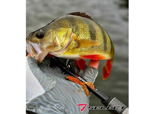 Select Kraken 7.6cm #314 Kraken 7.6cm #314