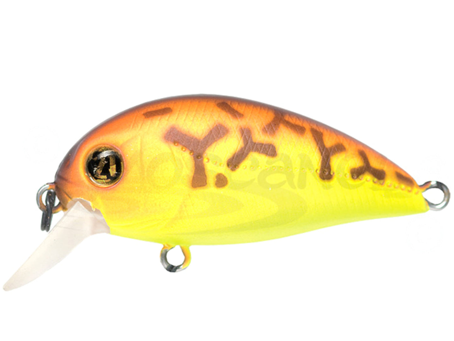 Vobler Vobler Pontoon21 Hypnose 38f-sr 3.8cm 3.7g 075 F