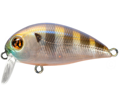 Vobler Vobler Pontoon21 Hypnose 38f-ssr 3.8cm 3.8g 108 F